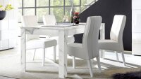 Tischgruppe CARRARA Marmor-Look weiß grau Essgruppe...