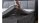Boxspringbett MALIN 180x200 Doppelbett anthrazit inkl. Topper