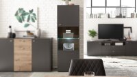 Vitrine CLEVELAND grau Artisan Eiche Glas inkl. Beleuchtung