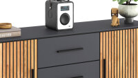 Sideboard Stella 3405 Schrank Eiche teilmassiv Akustikpaneel