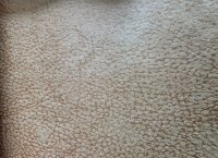 S Ecksofa MP-IN23064 Saddle honey