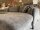 Ecksofa ZE-EM19139 grey ca. 303x178 cm