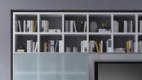 Wohnwand TORO 36 System schwarzbraun Eiche Glas satiniert