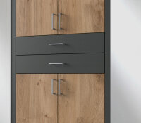 Kleiderschrank Diver Plankeneiche Graphit mit Spiegel 270 cm