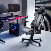 DX Racer L 4.2 Formula LFD01 GN Gaming Stuhl  Grau/...