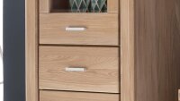 Vitrine TABEA Standvitrine Wildeiche Bianco teilmassiv 66 cm