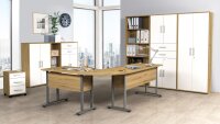 Büro-Set 1 DALLAS Arbeitszimmer Set 9-tlg Artisan Eiche