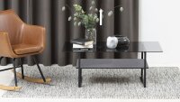 Couchtisch OKAYA Rauchglas und Marmor schwarz 110x60