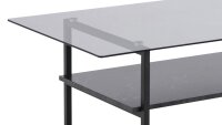 Couchtisch OKAYA Rauchglas und Marmor schwarz 110x60