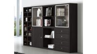 Regalwand TORO 74 System schwarzbraun Eiche
