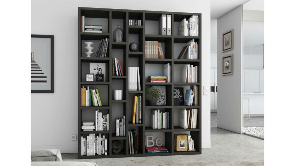Regal TORO 91 System Schwarzbraun Eiche