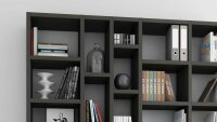 Regal TORO 91 System Schwarzbraun Eiche