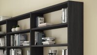 Regal TORO 65 System Schwarzbraun Eiche