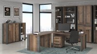 Aktenschrank CLIF Büroschrank old wood vintage Beton Optik 2-türig