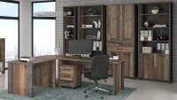 Aktenregal CLIF Büroschrank old wood vintage Beton Optik 2-türig