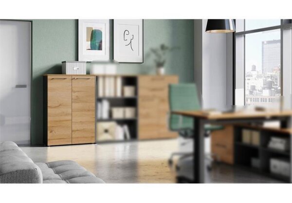 Aktenschrank 4232 AGENDA HOME in eiche graphit
