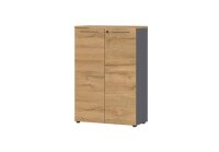 Aktenschrank 4232 AGENDA HOME in eiche graphit