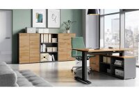 Aktenschrank 4232 AGENDA HOME in eiche graphit