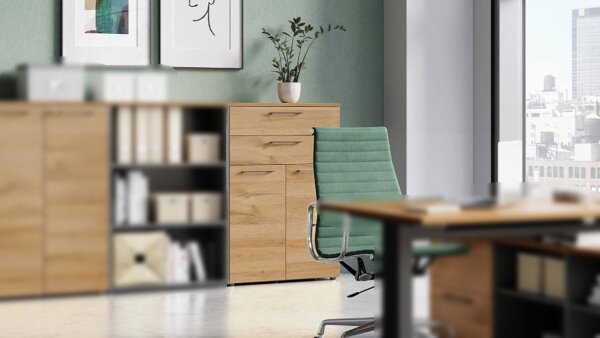 Aktenschrank 4233 Schrank AGENDA HOME eiche graphit