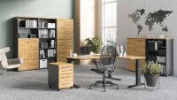 Aktenschrank 4236 AGENDA HOME Büroschrank eiche graphit