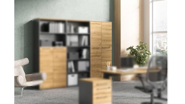 Aktenschrank 4237 AGENDA HOME Büroschrank eiche graphit