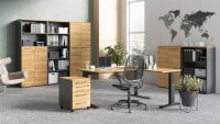 Aktenschrank 4237 AGENDA HOME Büroschrank eiche graphit