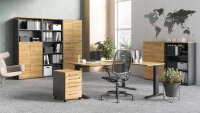Büro Set 7-teilig AGENDA HOME Arbeitszimmer eiche...