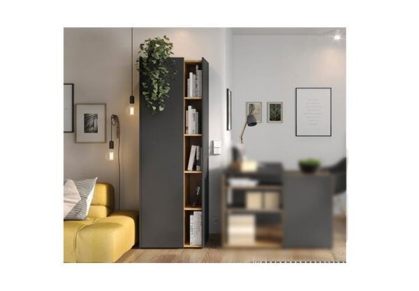 Aktenschrank 2977 AUSTIN Büroschrank in graphit eiche 1 Tür