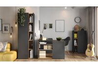 Aktenschrank 2977 AUSTIN Büroschrank in graphit eiche 1 Tür