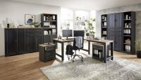 Aktenschrank 11 JASMIN in graphit grau Akzente Artisan Eiche