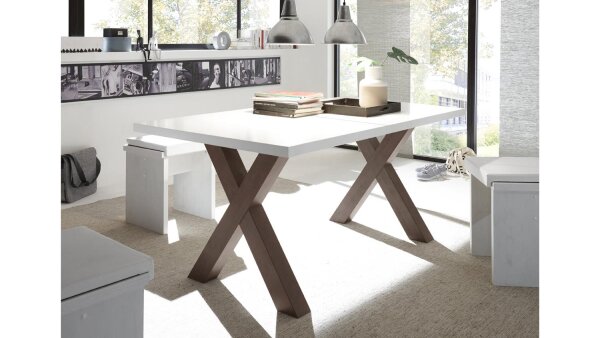 Esstisch MISTER X rost weiß Lack ausziehbar 160-210x90 cm